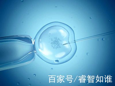 张明华 院长