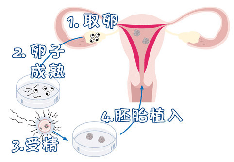 明远生殖医学中心